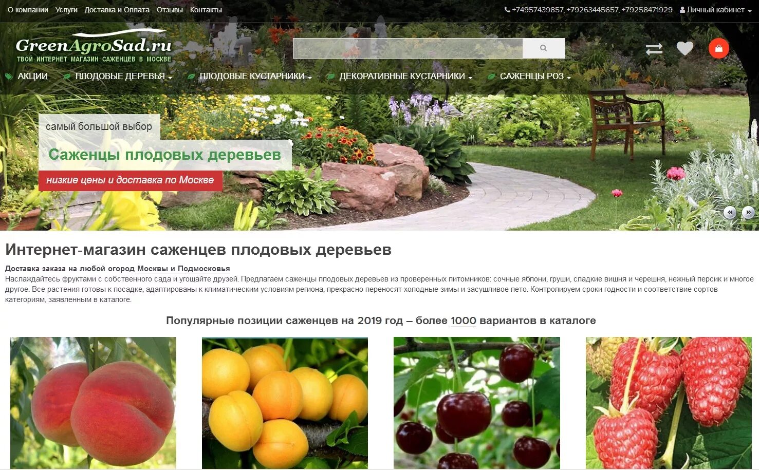 Сады москвы интернет магазин саженцы
