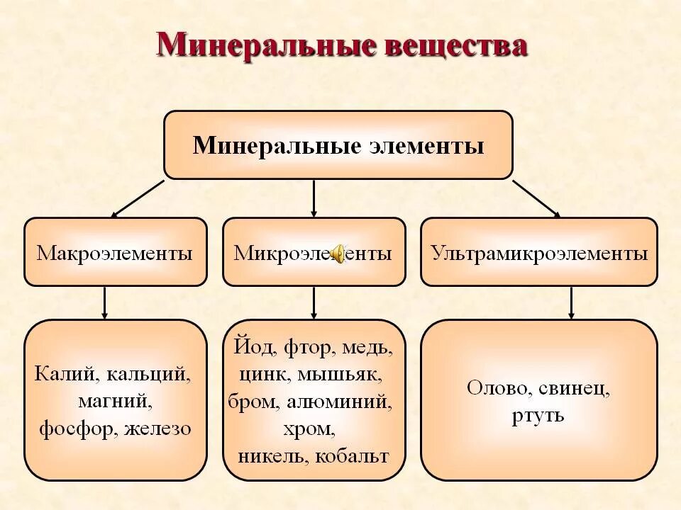 На какие группы подразделяются продукты