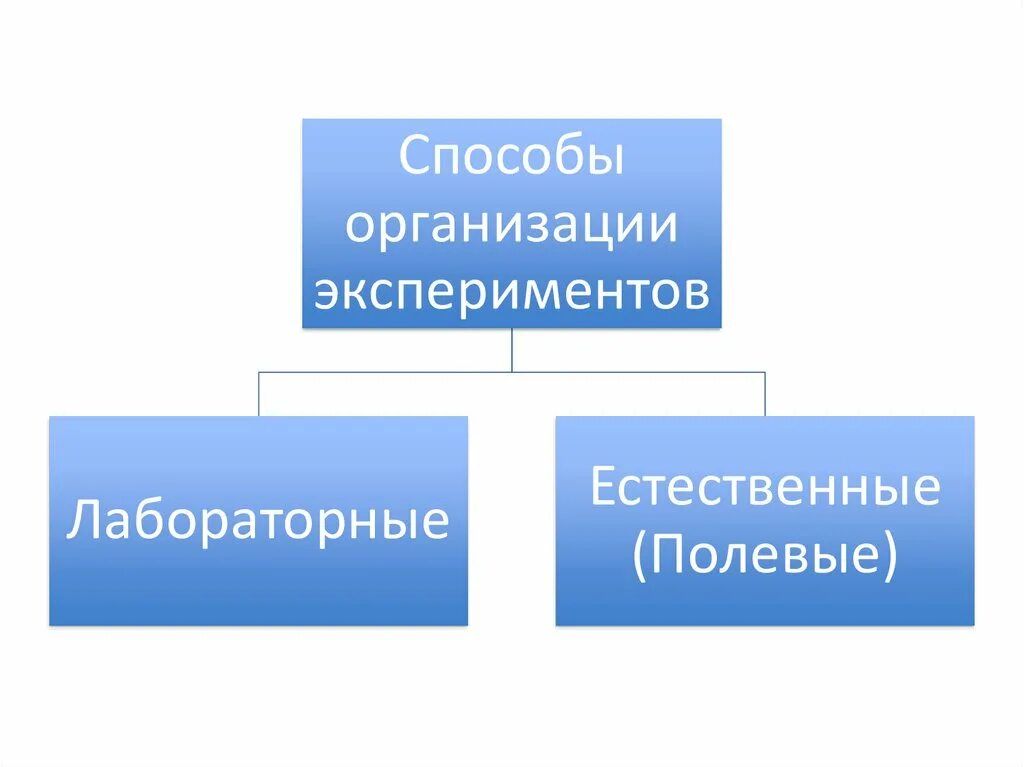 Методы организации эксперимента. Естественные и лабораторные группы. Полевые и лабораторные исследования. Эксперимент в маркетинговых исследованиях. Лабораторные исследования в маркетинге.