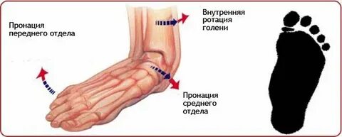 Внутренняя ротация
