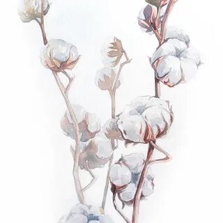 Хлопок акварелью