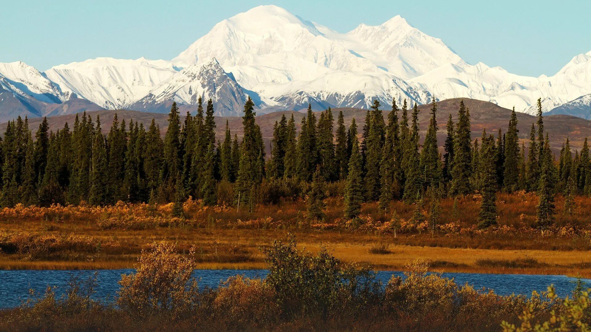 Аляска гора Денали. Национальный парк Денали Аляска. Гора Денали (Мак-Кинли). Гора Маккинли Аляска.
