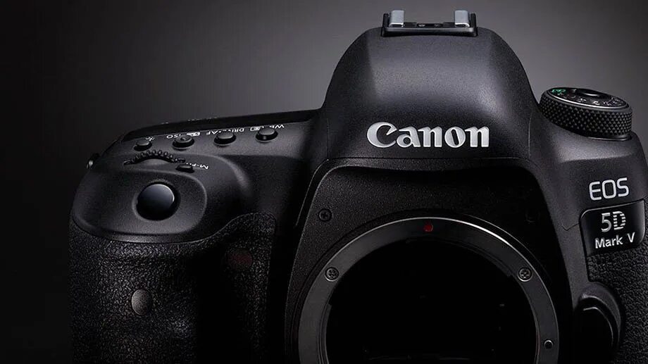 Canon EOS 5d Mark IV. EOS 5d Mark v. Canon EOS 5d Mark EOS IV. Canon 5d Mark IV снимки. Canon eos 5d купить