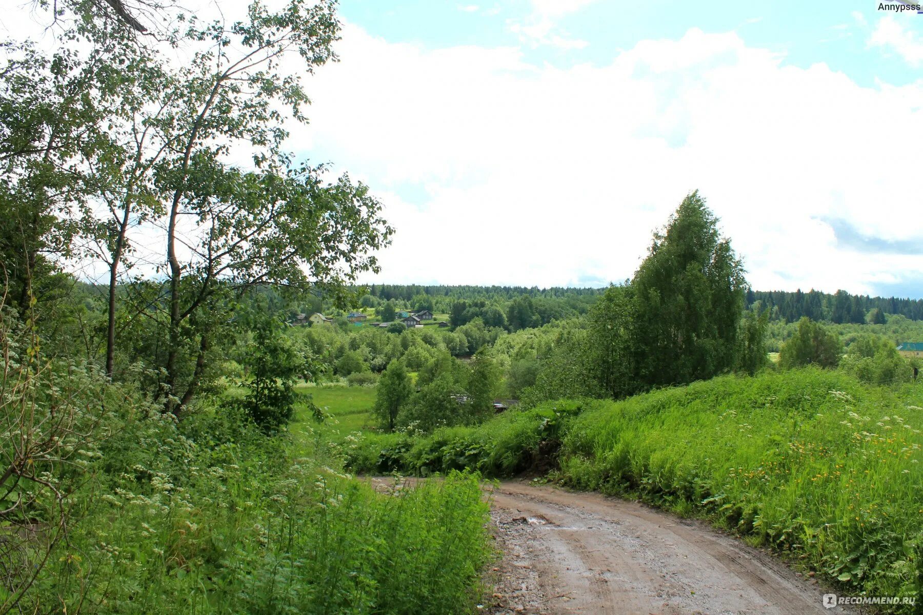Солониха нижегородская область. Деревня вазьянка нижегородская область. Рождественская церковь солониха. Рождественская церковь солониха. Солониха нижегородская область.