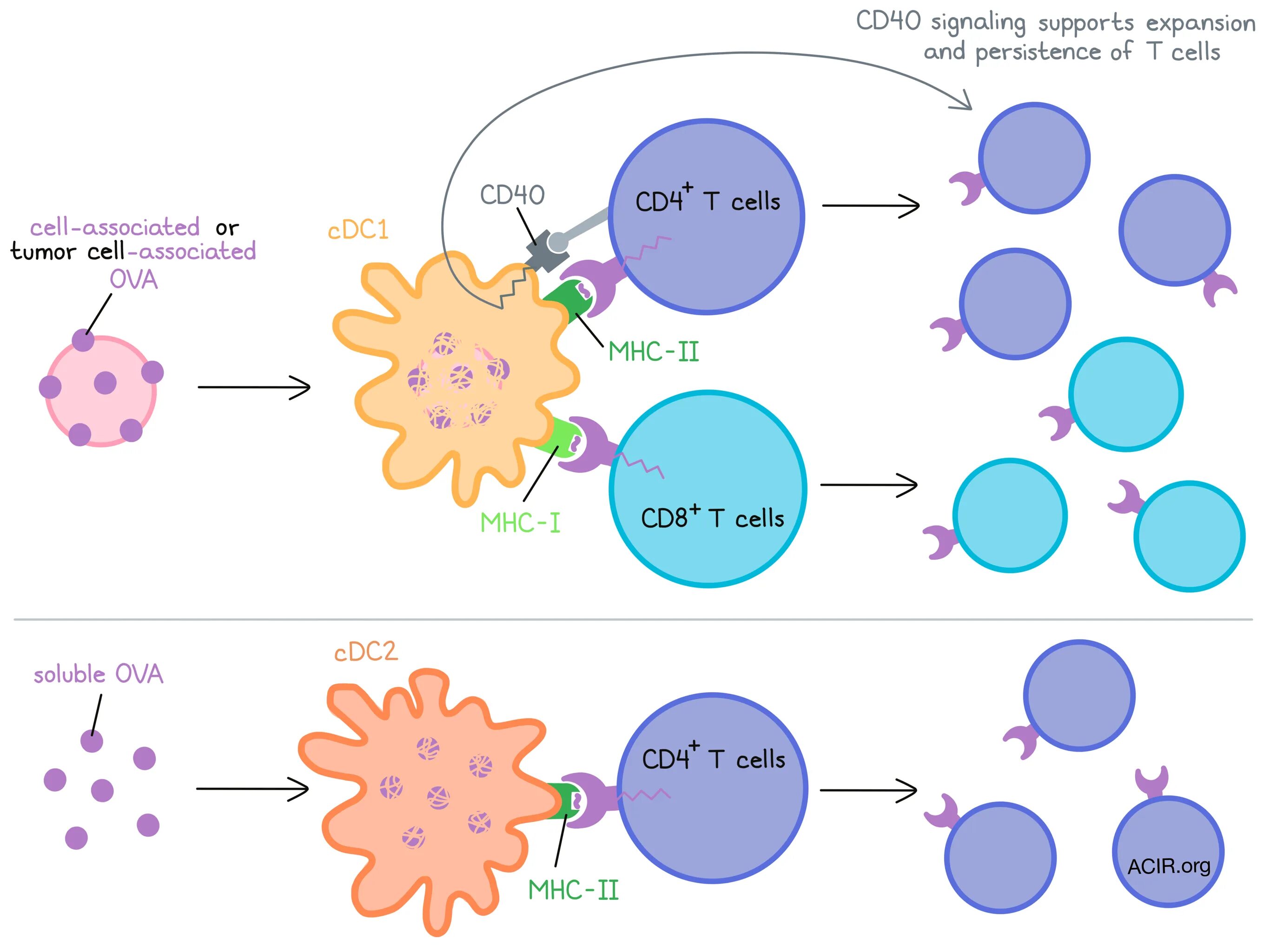 Cd 4 класс