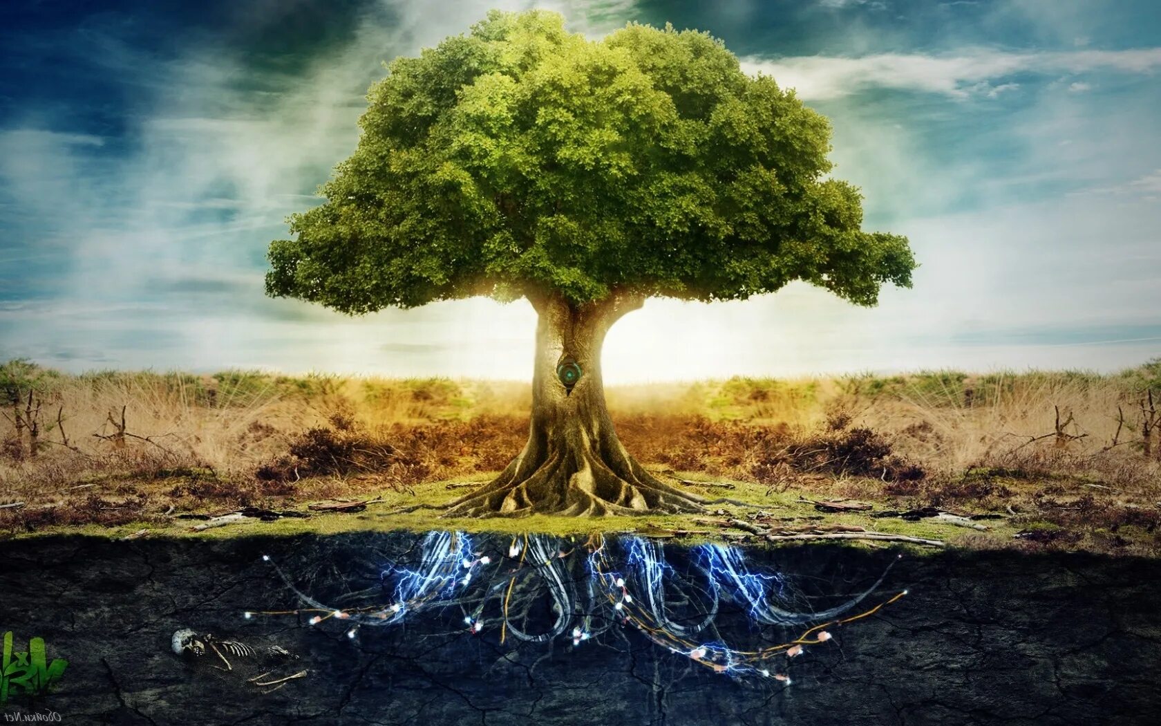 Иггдрасиль мировое Древо. Родовое Древо корни рода. "Tree of Life" ("дерево жизни") by degree. Красивое дерево. Дайте детям крылья и корни