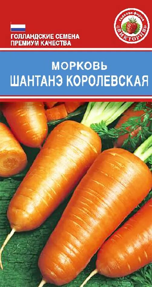 Шантане королевская морковь описание. Морковь шантане королевская. Морковь шантане королевская. Морковь шантане королевская. Шантане королевская.