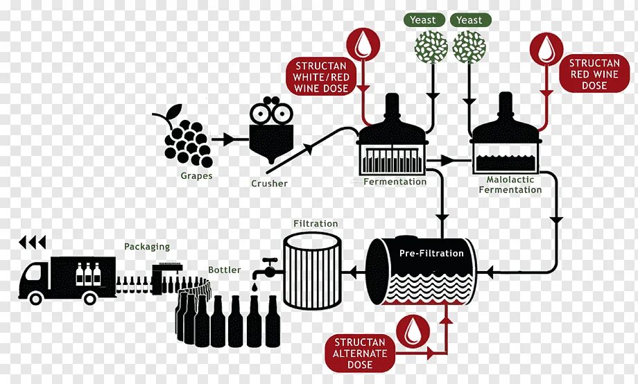 Wine processing