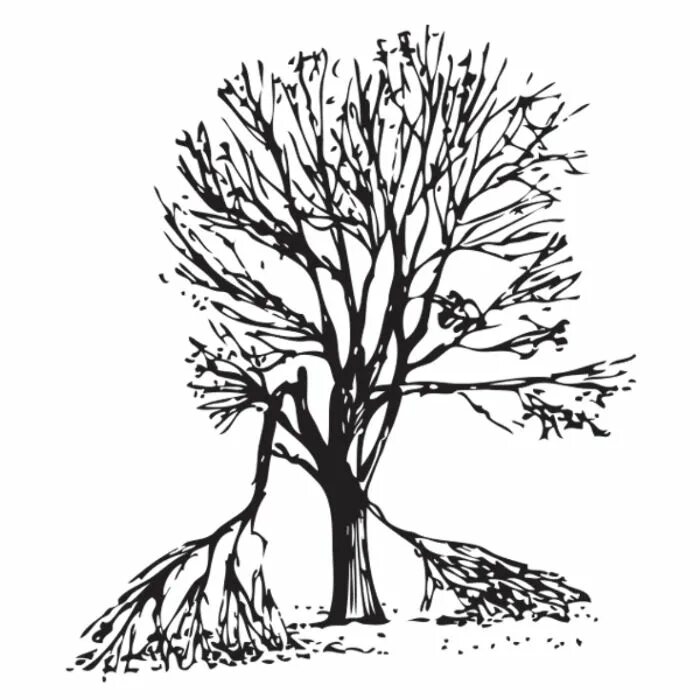 Tree fix