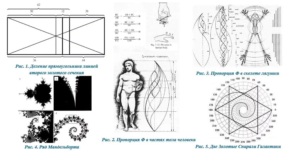 Пропорции объектов