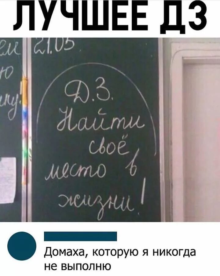 Смешные домашние задания. Домашнее задание юмор. Приколы про домашнее задание. Приколы с домашним заданием.