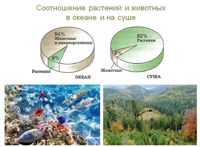 Биосфера оболочка жизни контрольная работа. Биосфера. биосфера земная оболочка. биосфера, по вернадскому, – земная оболочка,. биосфера оболочка жизни.