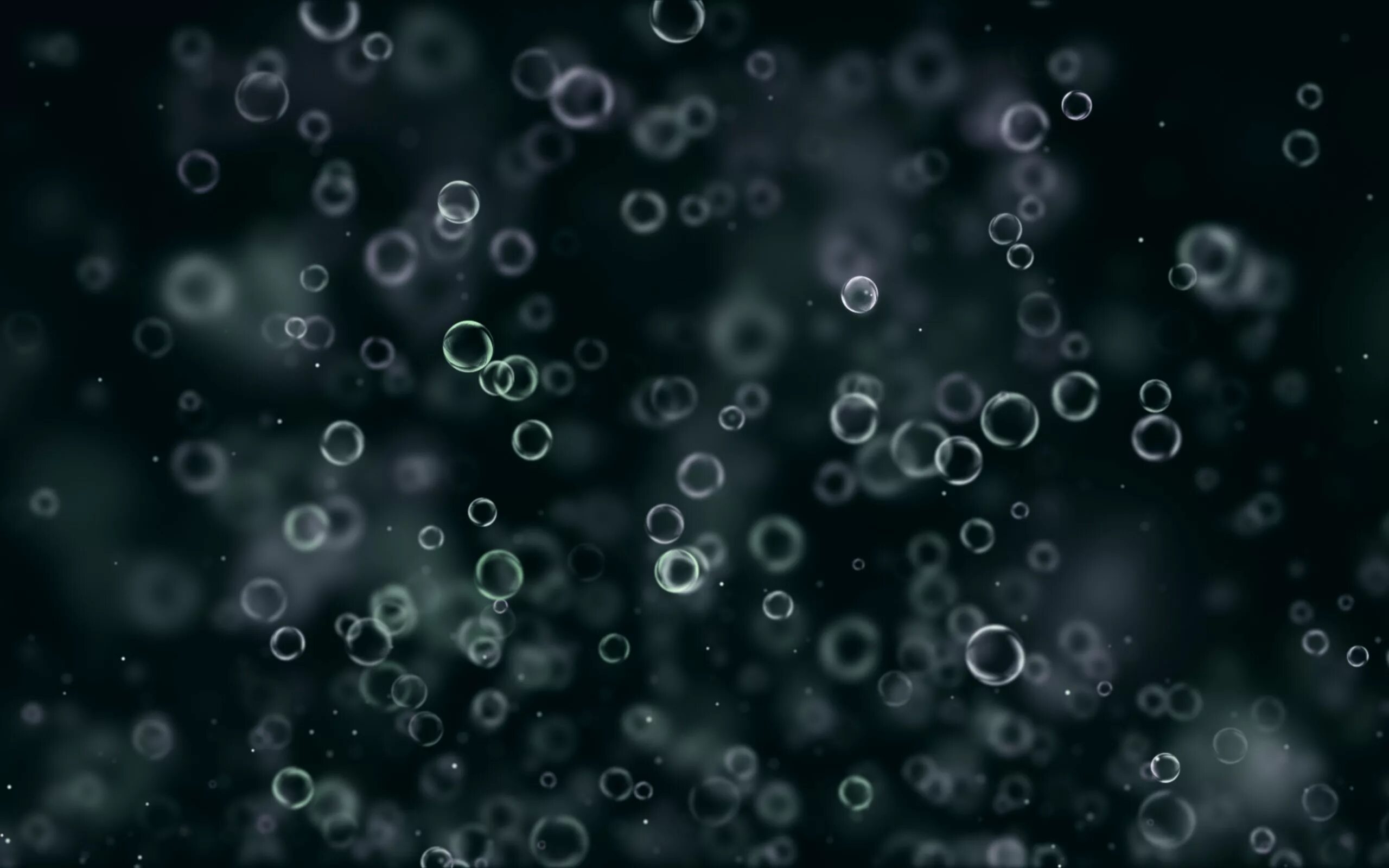 Черные пузырьки. Пузырьки. Пузырьки текстура. Фон пузырьки. Пузырьки в воде.