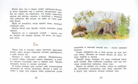 Через пни и колоды через высокие