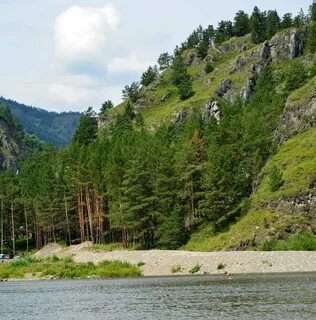 Палец горный алтай