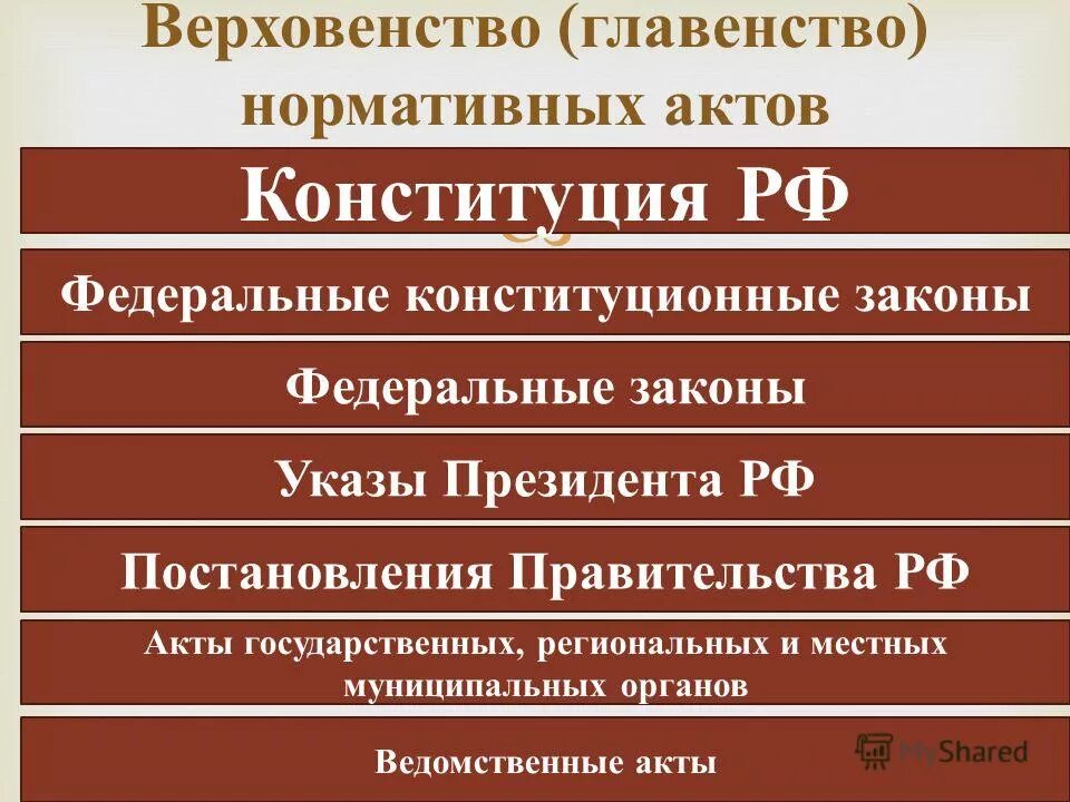 Конституции рф муниципальное право