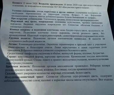 Получить протокол вскрытия