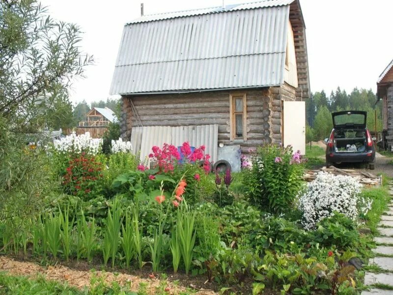 Морово. Морово сыктывкар. Дачи эжва. Морово сыктывкар. Морово сыктывкар.
