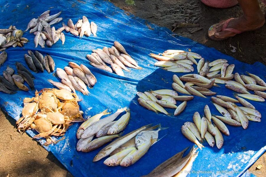 рыба на ростовском рынке. рыбный ряд. ростовский рынок рыбный ряд. рыбный ряд. рыбный ряд.