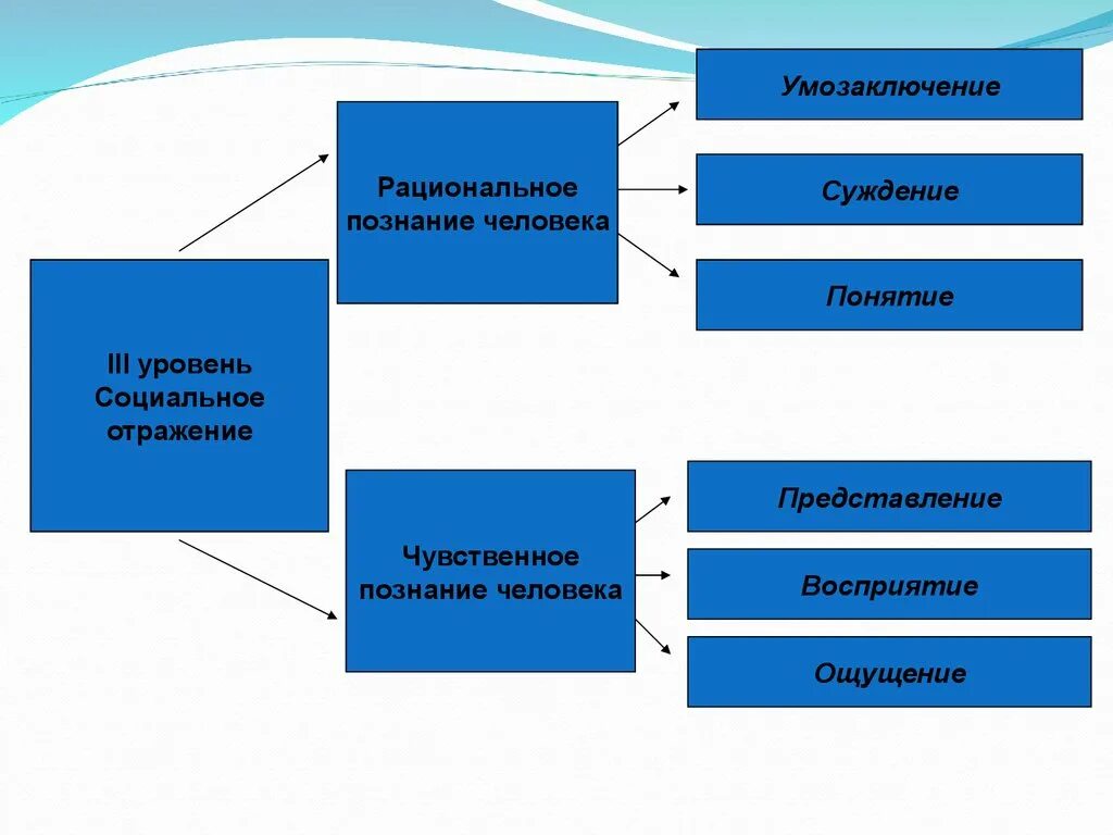 Понятие суждение ощущение умозаключение восприятие. Ощущение восприятие представление понятие суждение умозаключение. Умозаключение понятие представление восприятие суждение. Рациональное познание понятие суждение умозаключение.