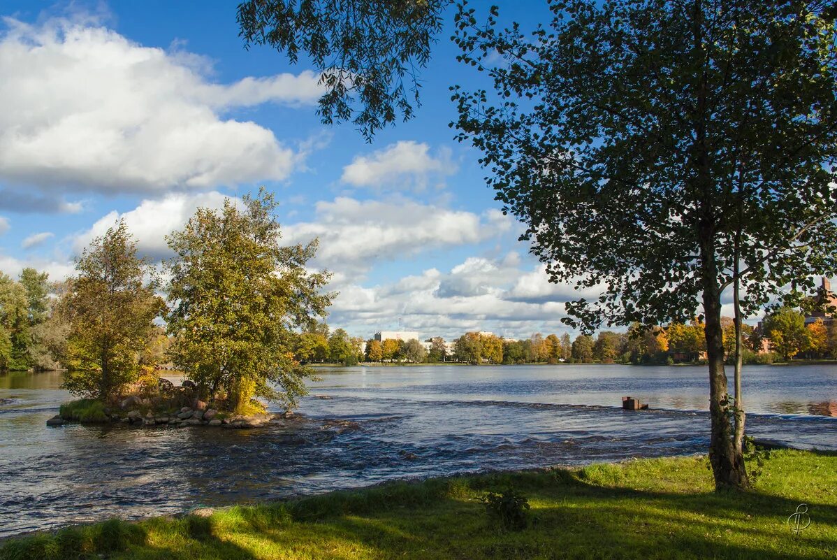озеро разлив сестрорецк. озеры московской. разлив ока в г. озеро разлив окуловский район. разлив в озерах.