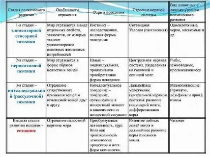 Общее психическое развитие это