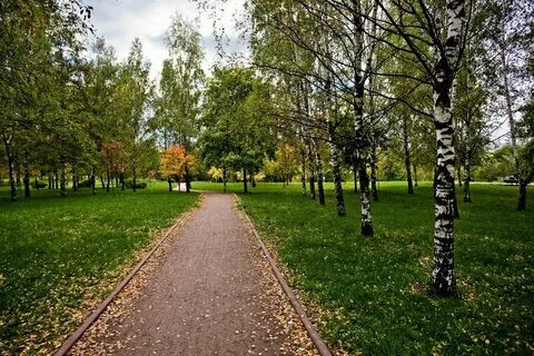 Парк свиблово