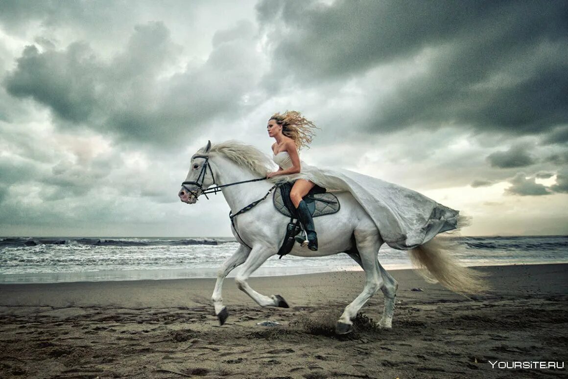 Девушка на коне. Фотосессия с белой лошадью. Девушка скачет на коне. Девушка с лошадью.