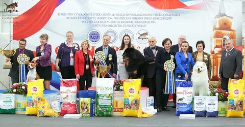 Зоопортал новосибирск
