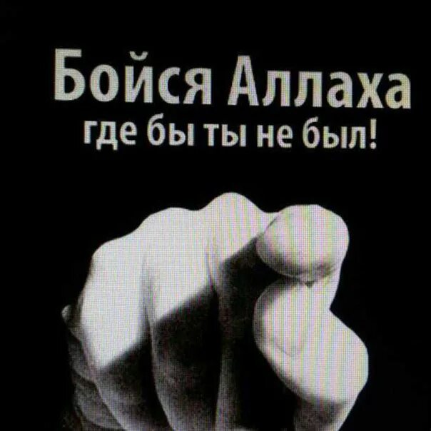 Бойтесь всевышнего. Бойся Аллаха. Бойся только Аллаха. Побойся Аллаха. Я боюсь только Аллаха.