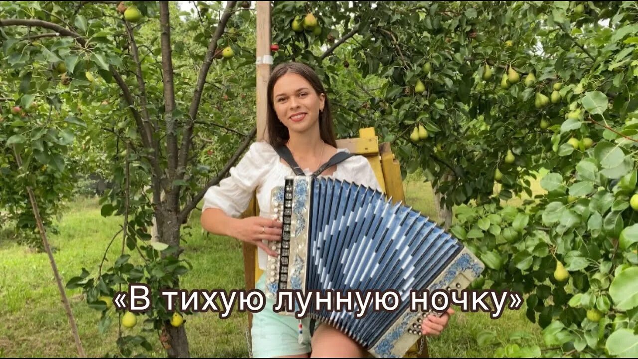 Песни на баяне. Ноты в тихую лунную ночку.