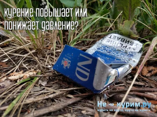 Табакокурение повышает кровяное давление. От сигарет повышается давление. Никотин повышает или понижает давление. Сигареты повышают или понижают давление. Никотин понижает давление.