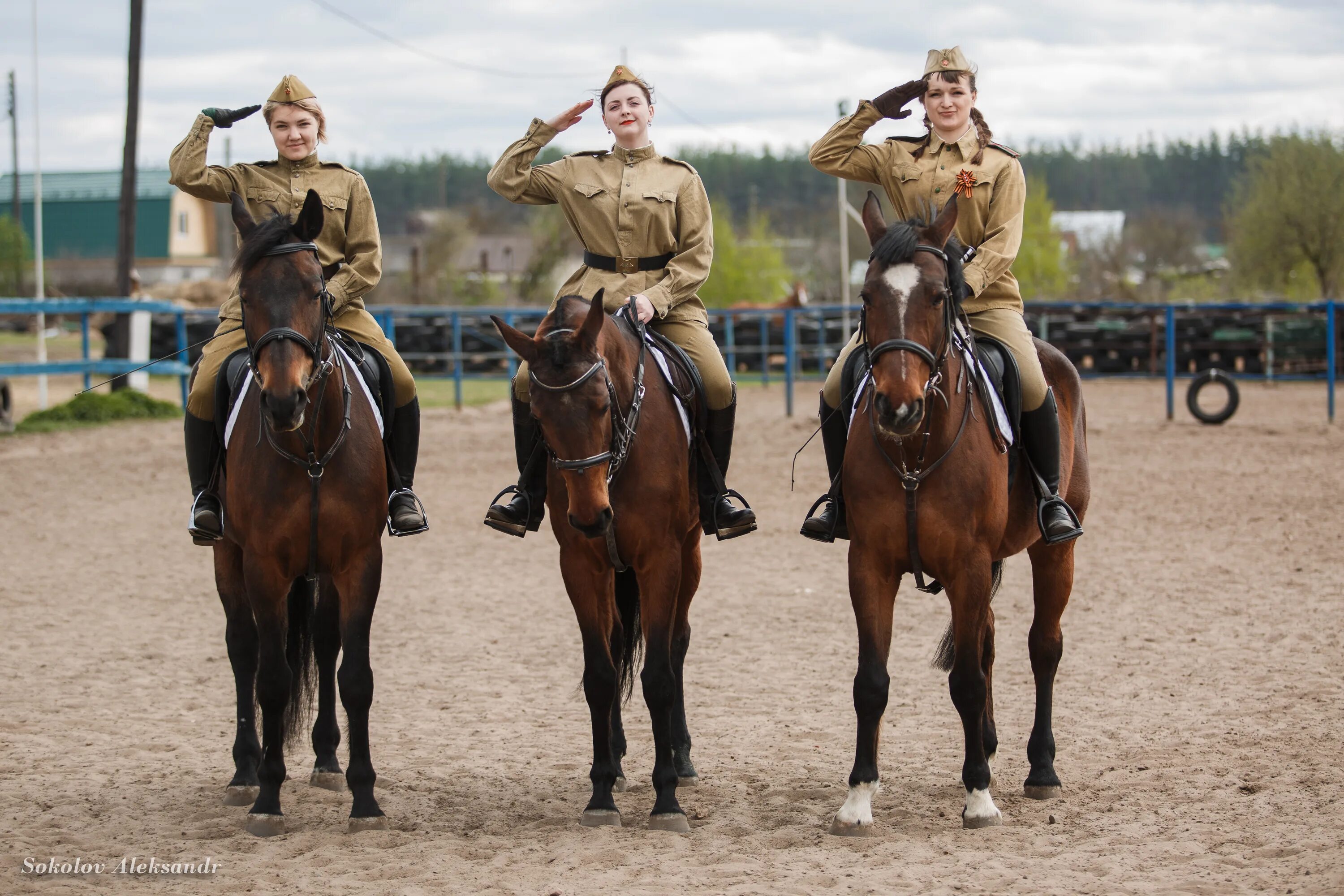 Кавалеристы буденовцы. Военная лошадь. Армия на конях. Женская кавалерия.