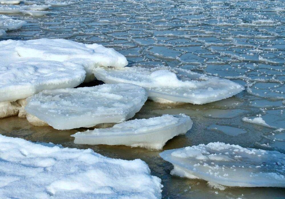 Тает ли лед в воде
