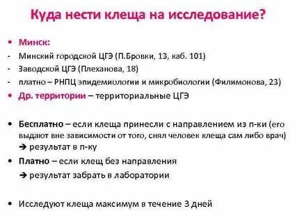 Куда нести клеща на анализ