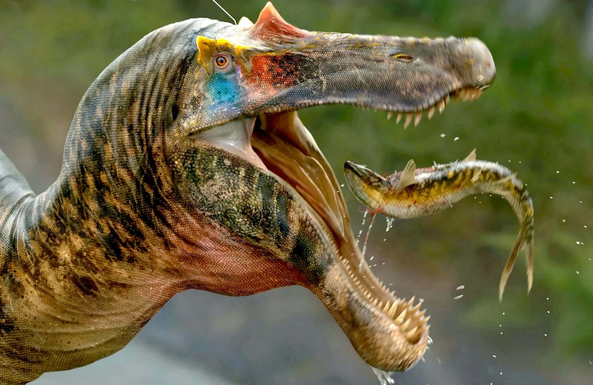 Динозавр живущий в воде. Плотоядные динозавры. Хищные динозавры. Челюсть динозавра. Живые динозавры.