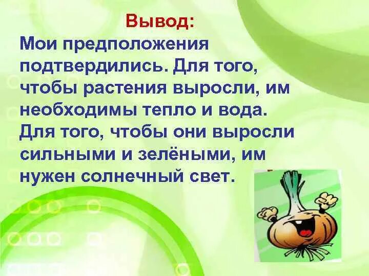 Презентация зеленый лук. Лук наш зеленый друг. Проекты про лук в детском саду. Лук наш зеленый друг. Лук зеленый друг.