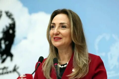 Cumhuriyet Halk Partisi Kadın Kolları Genel Başkanı Aylin Nazlıaka, Türk Me...