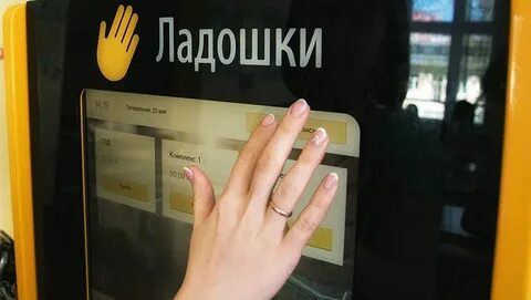 Программа ладошки в школах