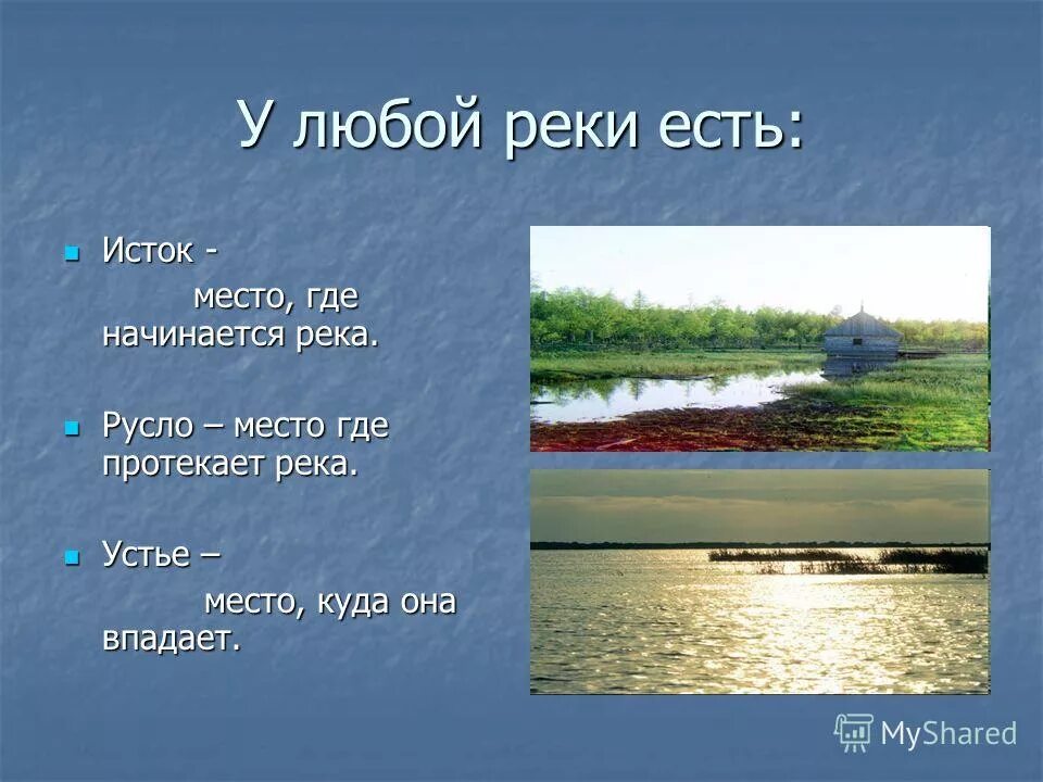 Любая река имеет