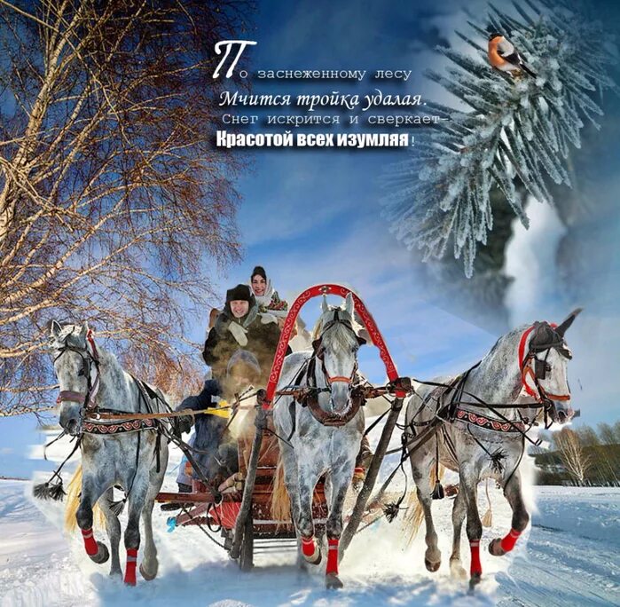 Удалая ю а. Тройка мчится. вот мчится тройка удалая. тройка удалая. русская тройка.