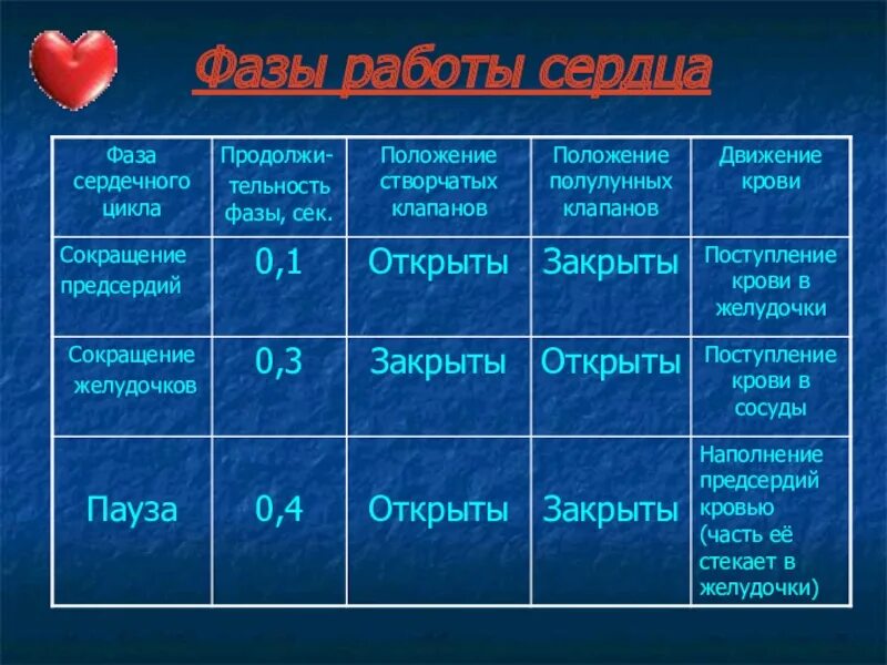Фазы работы сердца время. Фазы работы сердца. работа сердца таблица. работа сердца сердечный цикл. сердце фазы работы сердца.