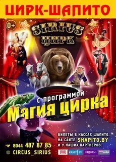 Цирк до какого числа