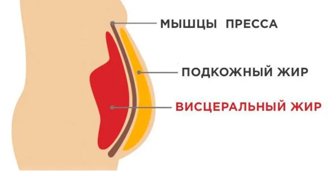 Почему заплываю жиром