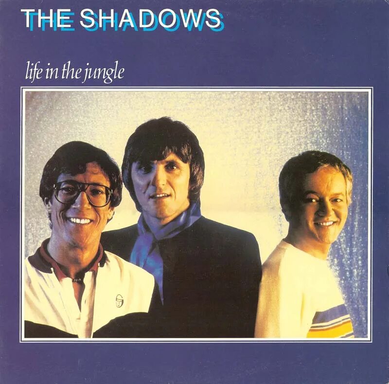 Informal life. Группа the Shadows альбомы. The Shadows Hits right up your Street 1981. In the Shadows of my Life.