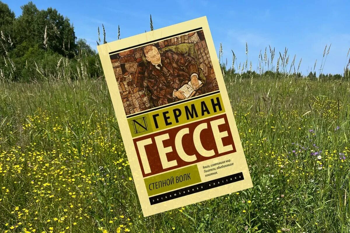 Книга гессе степной волк отзывы. Степной волк Гессе.