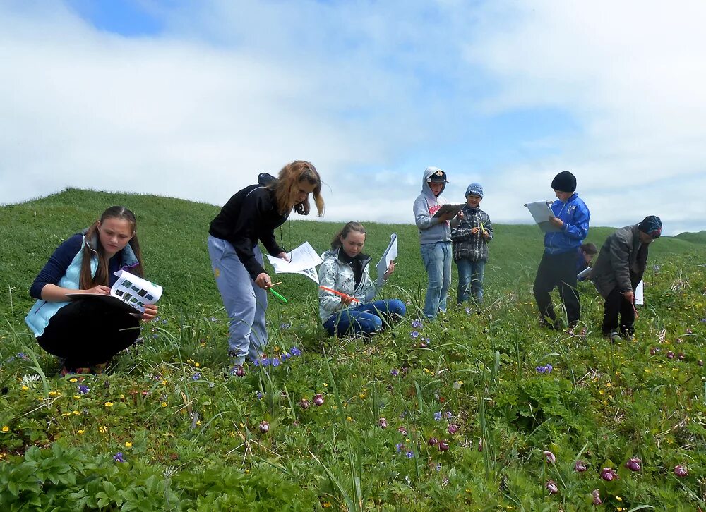 экологический туризм. экологический туризм работа. экотропа обретенная дельта. экологический туризм. массовый туризм.