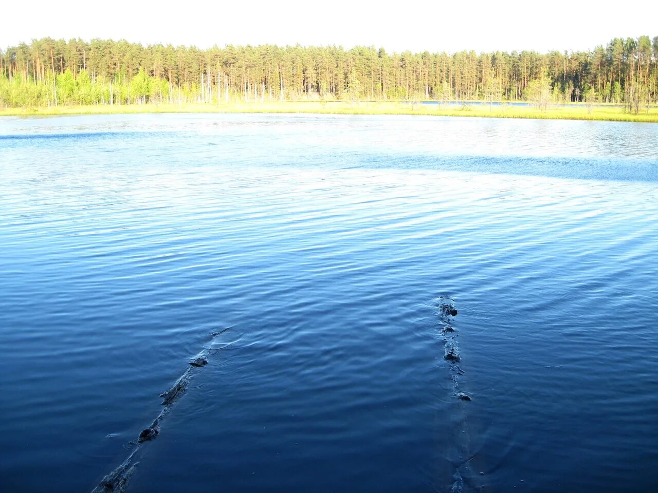 Озеро трёхозерка. Озеро Трехозерка Тольятти. Глубокое (озеро, Карельский перешеек). Озеро раздельное.