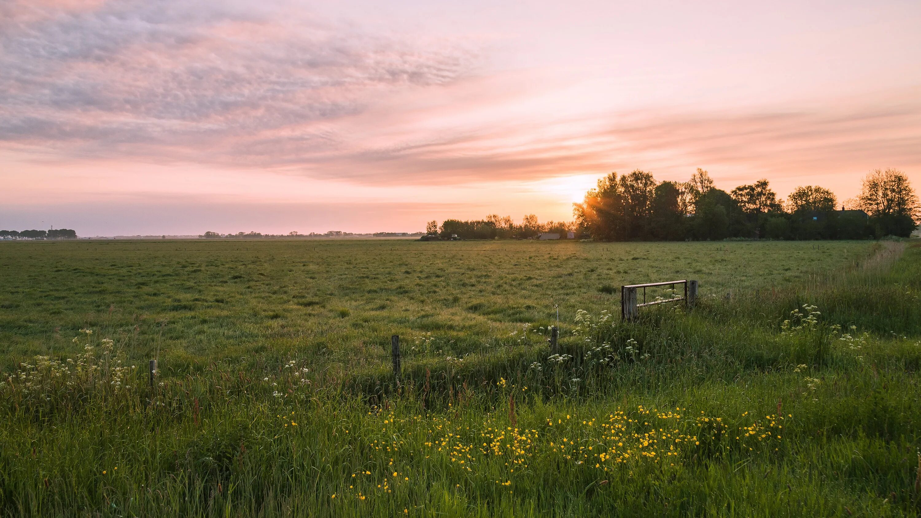 Деревня поле сенокос речка. Край родной деревня. Деревня холм в белоруссии. Деревня луги. Деревня луг.