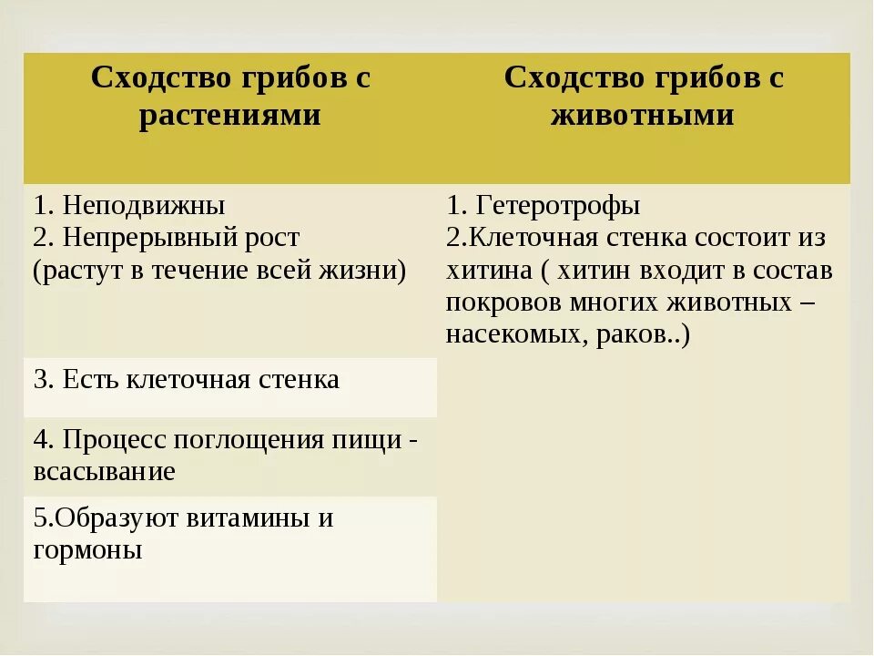 В чем состоит сходство животных. Сходства грибов с растениями и животными 7 класс. сходство грибов с животными 5 класс. сходство грибов с животными 5 класс биология. сходство грибов с животными сходство грибов с растениями.